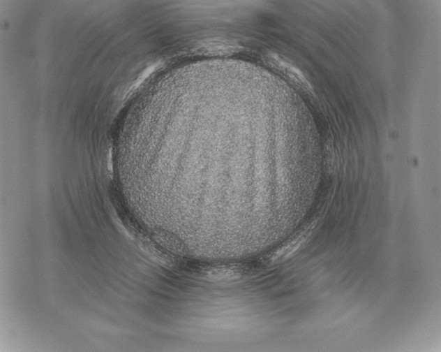 X0000070850358200607071838
