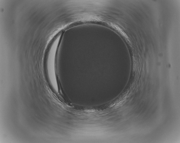 X0000070850391200607071837