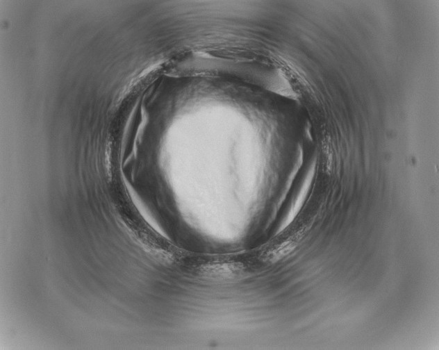 X0000070850404200607071837