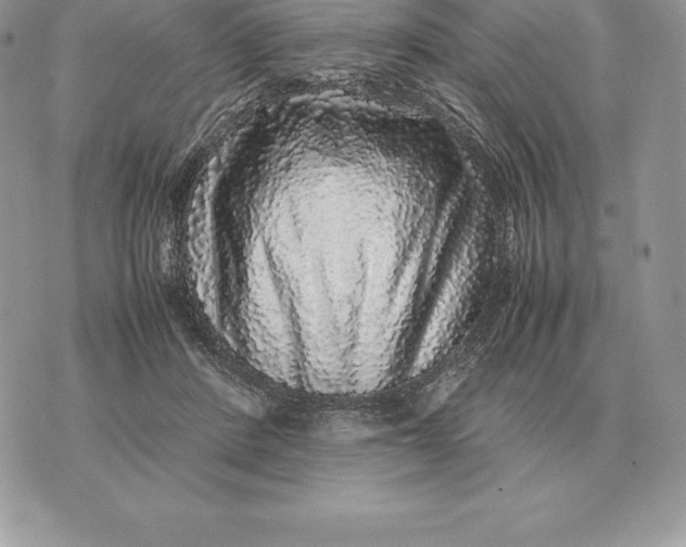 X0000070850408200607071837