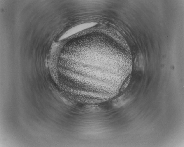 X0000070850424200607071837