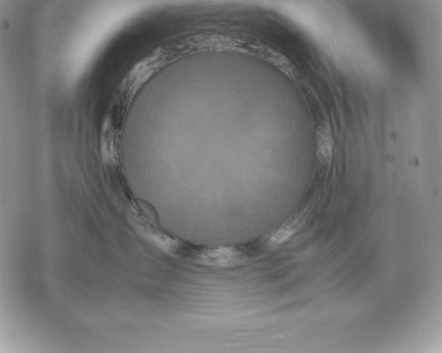 X0000070850431200607071837