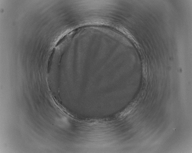 X0000070850434200607071836
