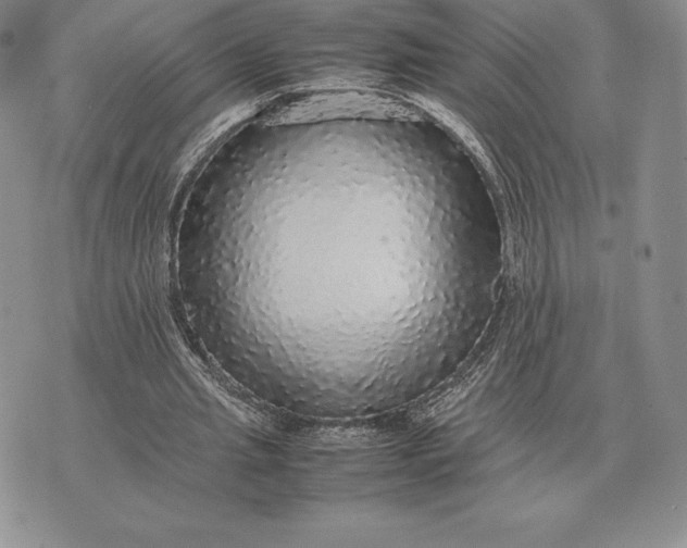 X0000070850437200607071836