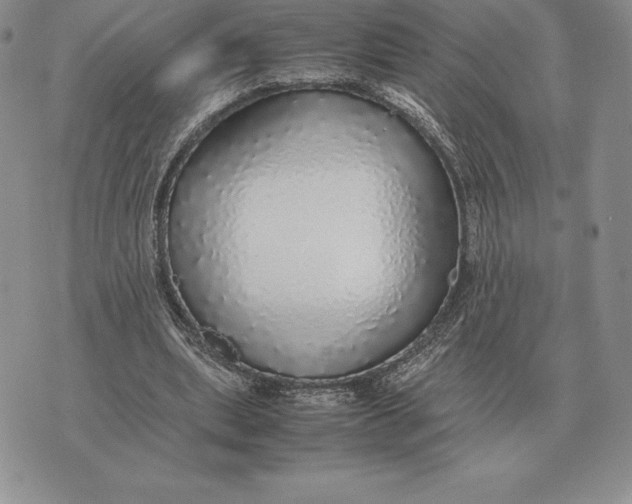 X0000070850439200607071836