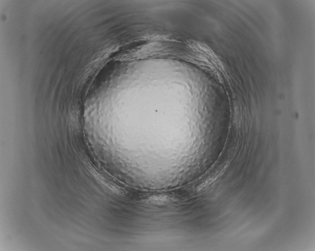 X0000070850441200607071836