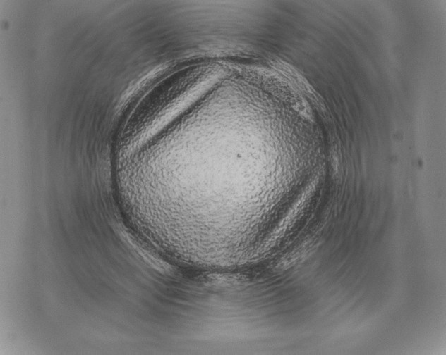 X0000070850442200607071836