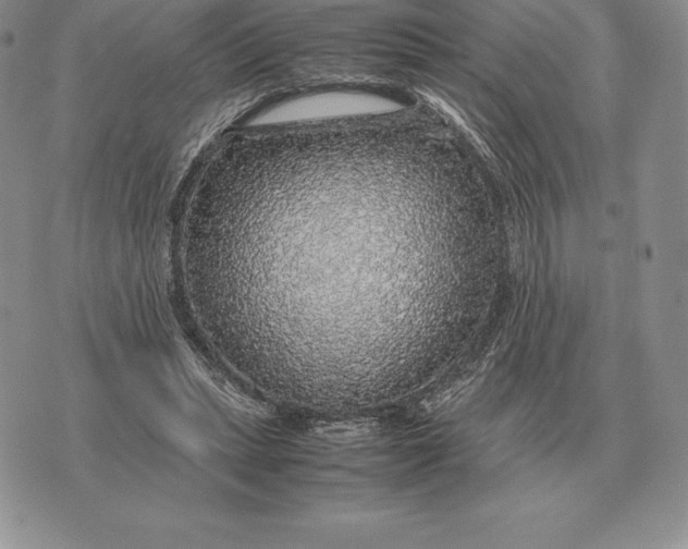 X0000070850447200607071836