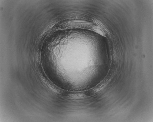 X0000070850449200607071836