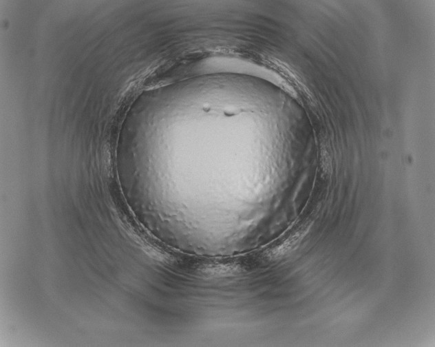 X0000070850453200607071836