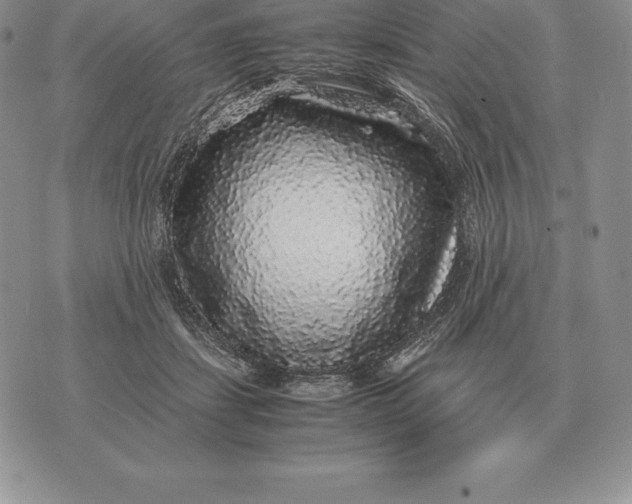 X0000070850459200607071836