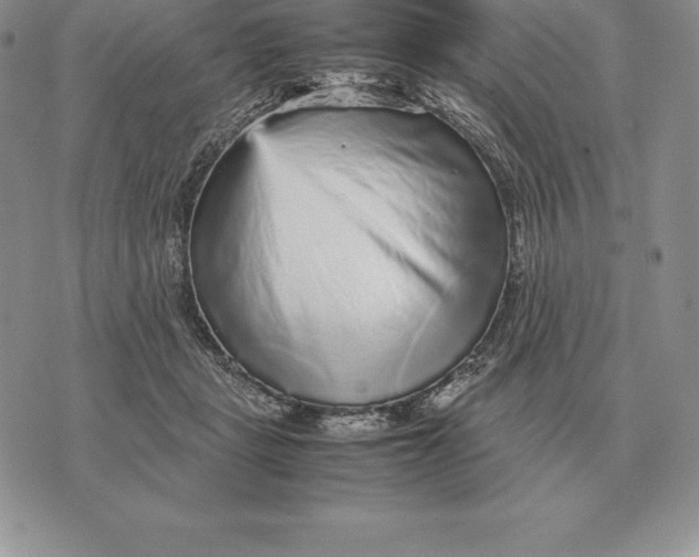 X0000070850461200607071836