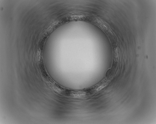X0000070850463200607071836
