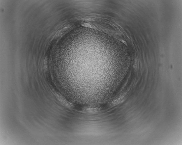 X0000070850466200607071836