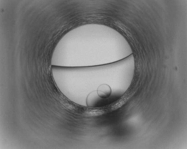 X0000070850467200607071836