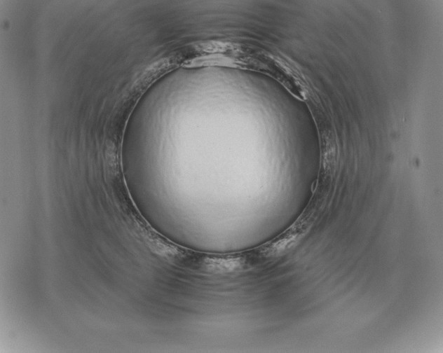 X0000070850469200607071836