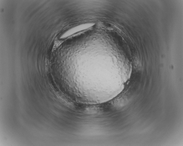 X0000070850470200607071836