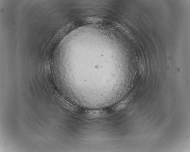 X0000070850473200607071836