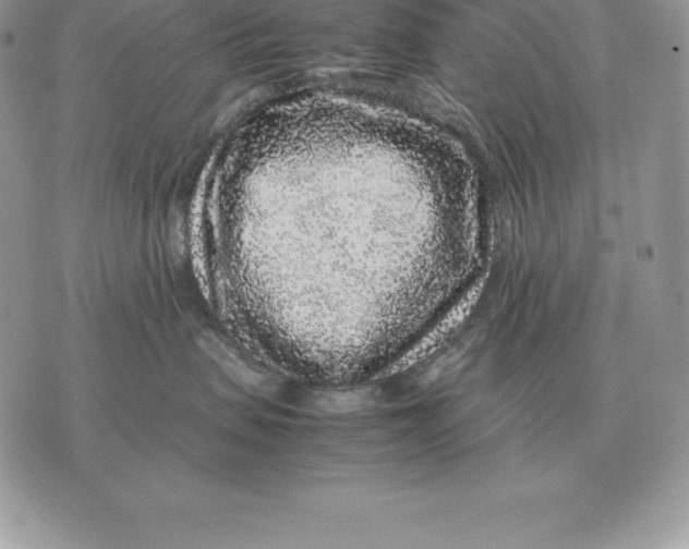X0000070850479200607071837
