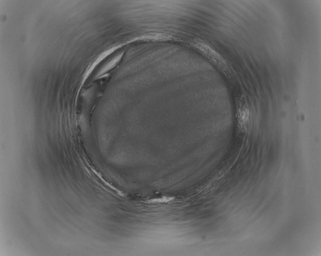 X0000070850484200607071836