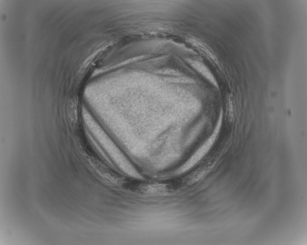 X0000070850501200607071835