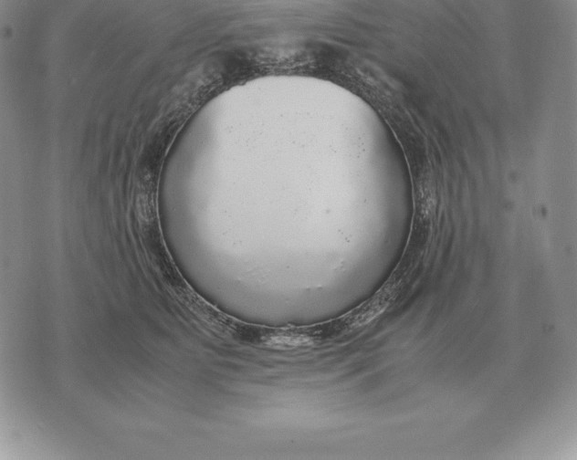 X0000070850515200607071835