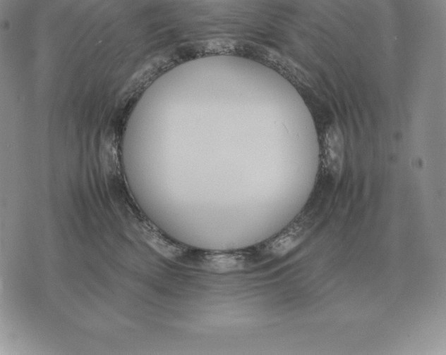 X0000070850522200607071835