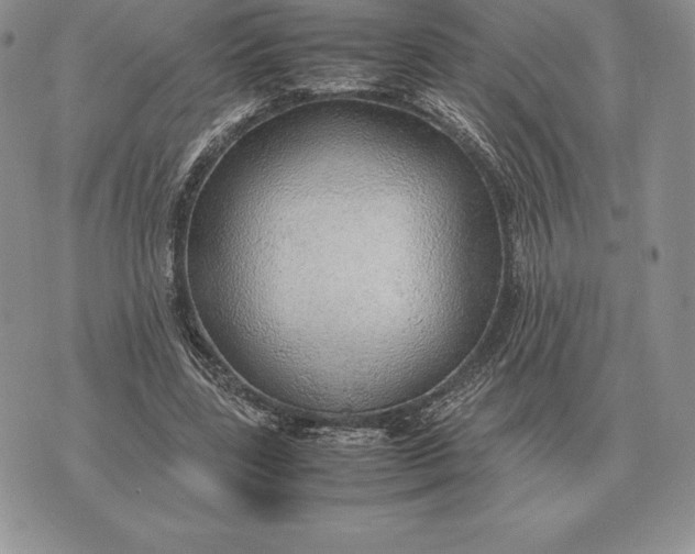 X0000070850539200607071834