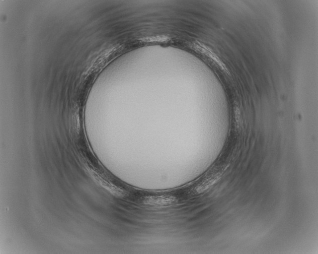 X0000070850541200607071834