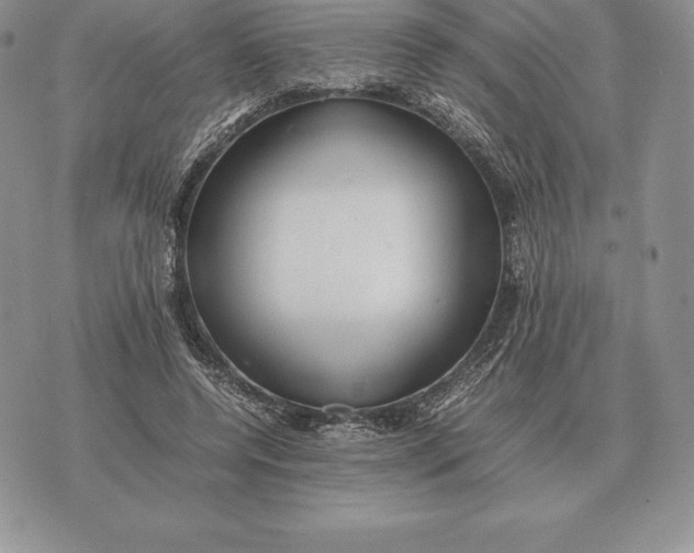 X0000070850544200607071834