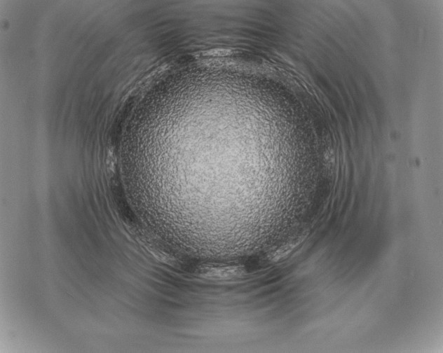 X0000070850555200607071835