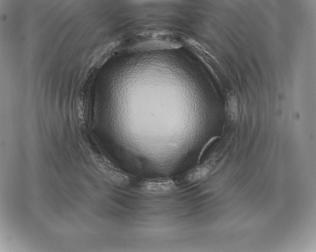 X0000070850571200607071835