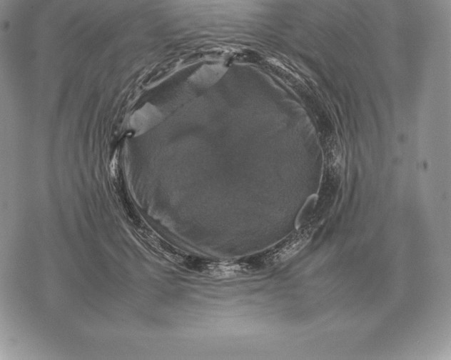 X0000070850607200607071834