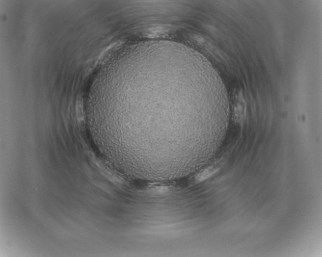 X0000070850620200607071833