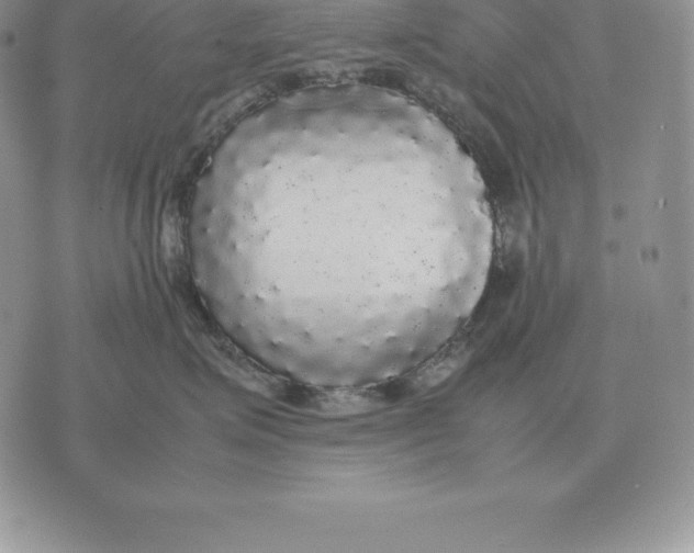 X0000070850623200607071833