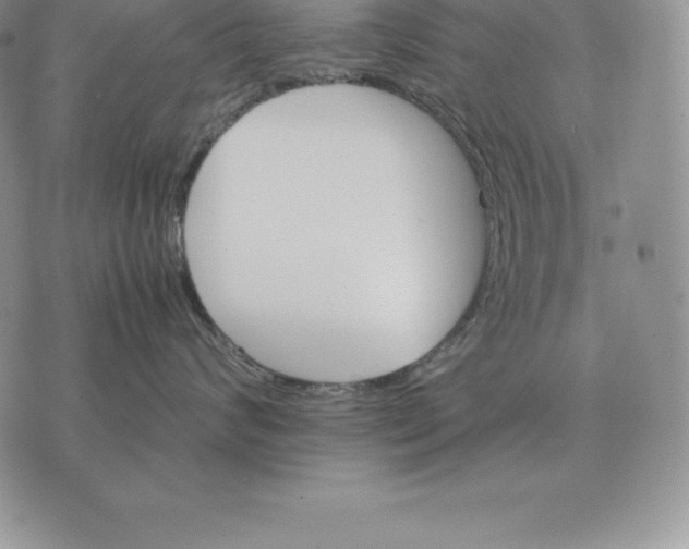X0000070850624200607071833
