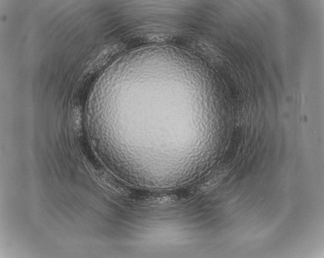 X0000070850646200607071833