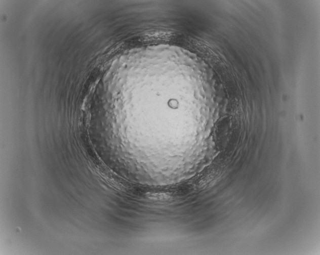 X0000070850649200607071833