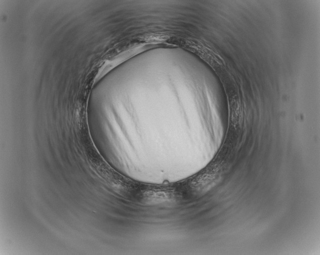 X0000070850655200607071833