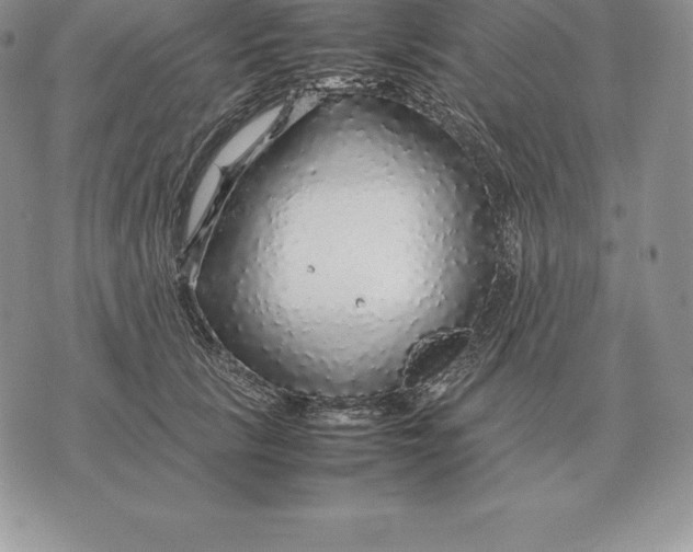 X0000070850657200607071833
