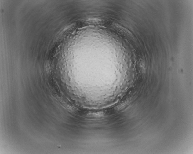 X0000070850665200607071833