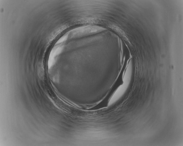 X0000070850674200607071833