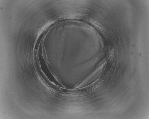 X0000070850678200607071832