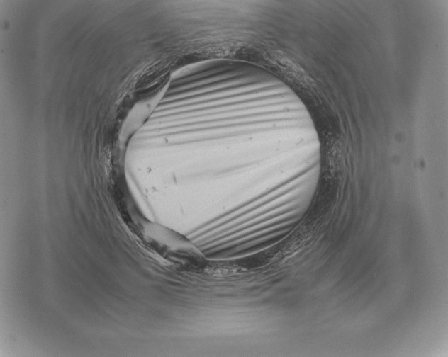 X0000070850693200607071832