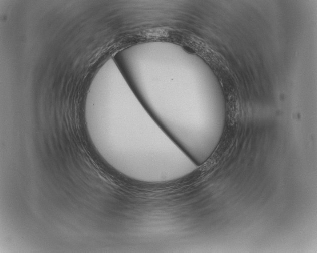 X0000070850704200607071832
