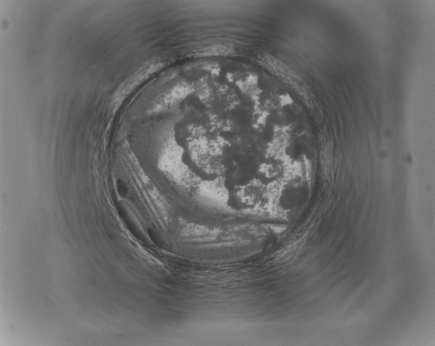 X0000070850721200607071831