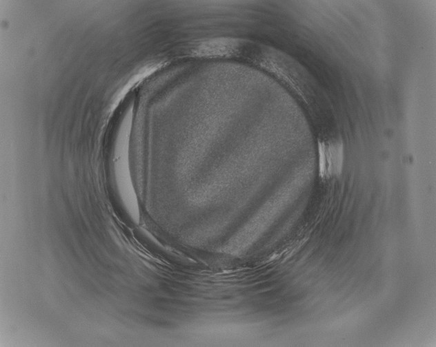X0000070850723200607071831