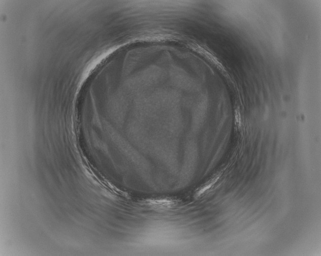 X0000070850724200607071831