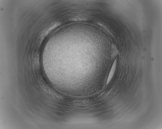 X0000070850727200607071831