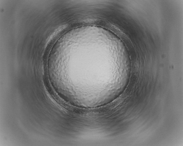 X0000070850734200607071831